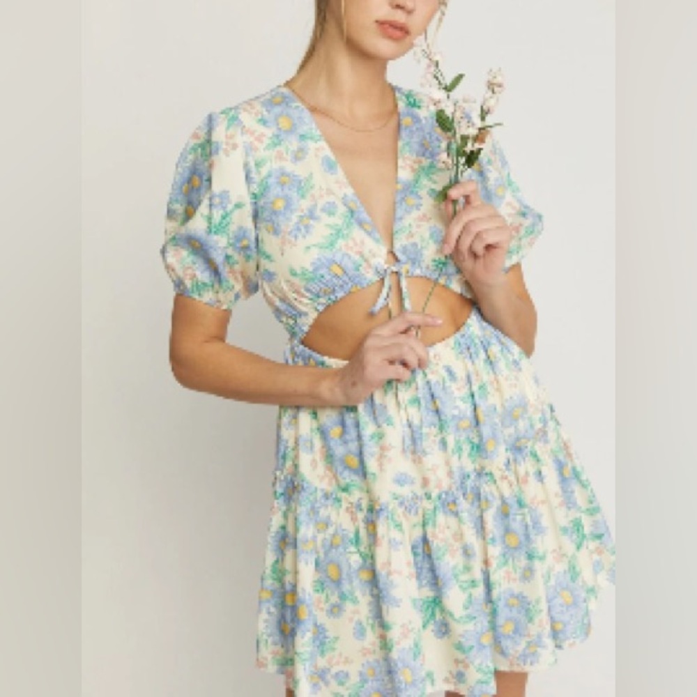 Summer Garden Mini Dress